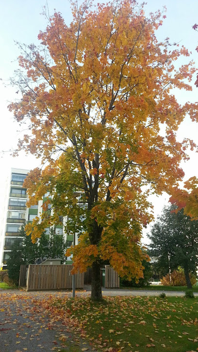 Museo del Trabajo de Vaasa