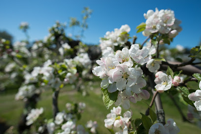 Mansión de Söderlångvik