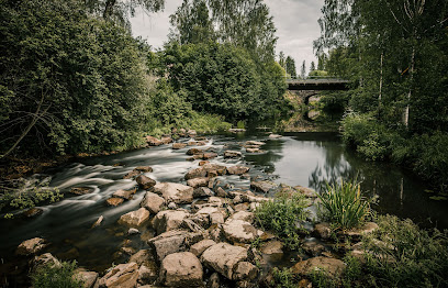 Museo de Historia Local y Molino Panelia