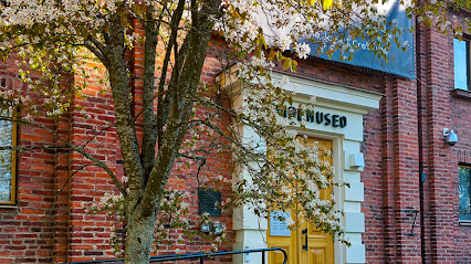 Museo de Arte de Tampere