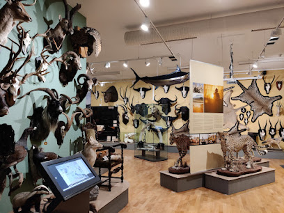 Museo de Caza de Finlandia