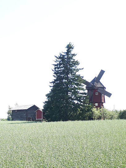 Molino de Viento Tykkä