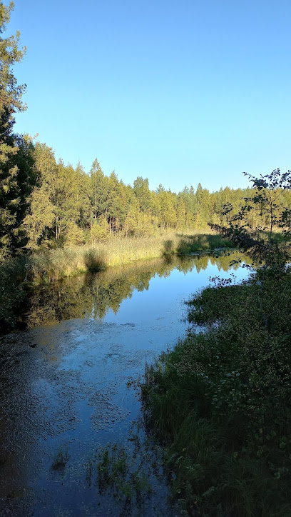 Aventura Ferroviaria