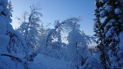 Exposición Samiland
