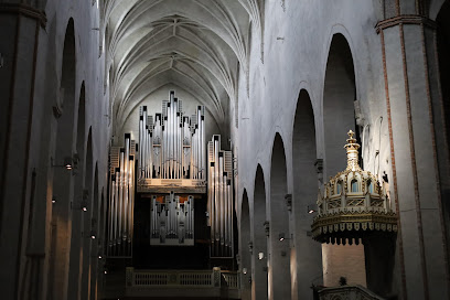 Museo de la Catedral de Turku