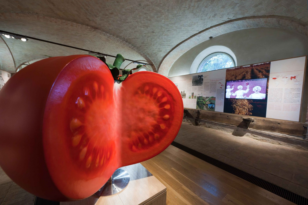 Museo del Tomate