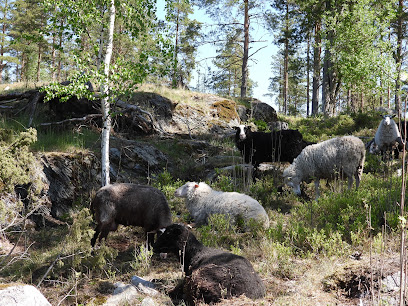 Área de conservación natural de Svinberget