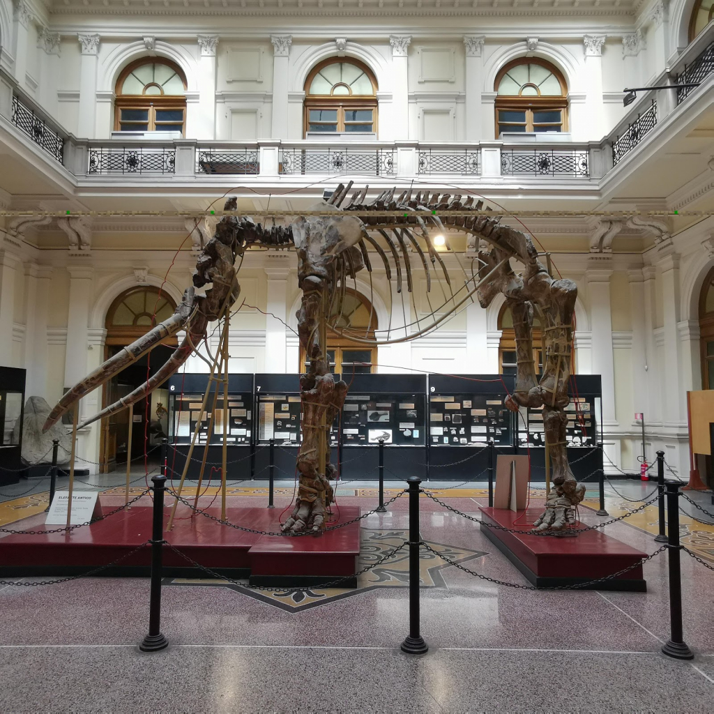 Museo de Historia Natural “Giacomo Doria”