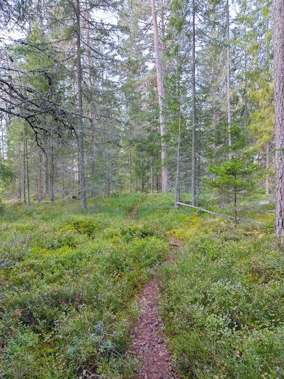 Hjortronmyren P