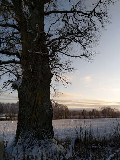 Jätteek sparresäter