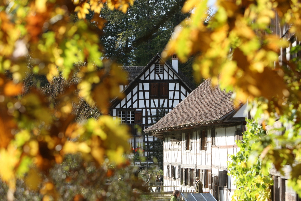 Ballenberg, Museo Suizo al Aire Libre