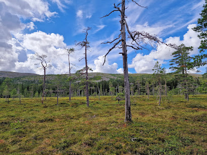 Naturum Fulufjället
