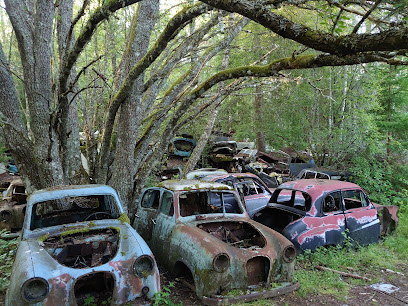 Bilkyrkogården en Båstnäs