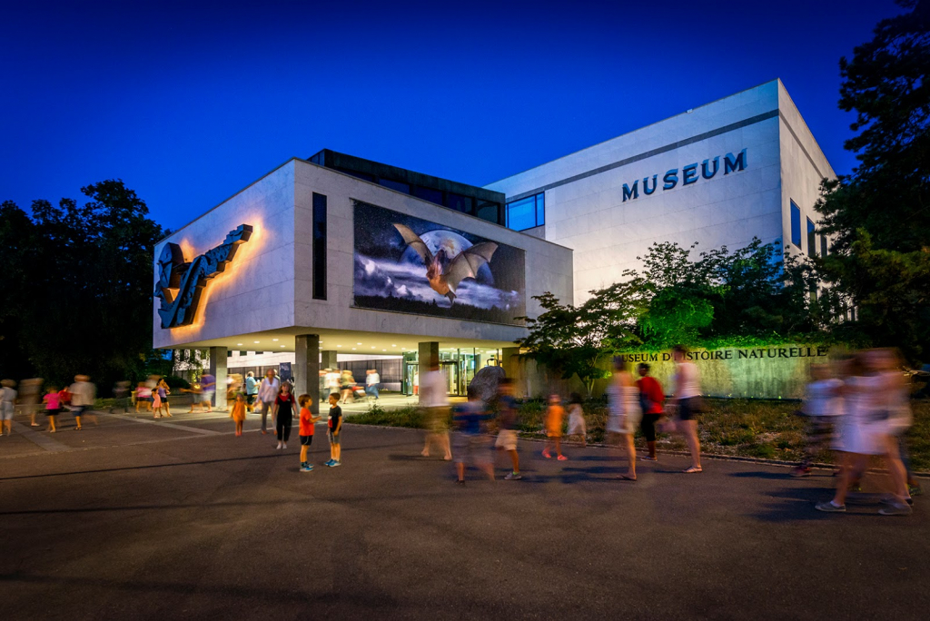 Museo de Historia Natural