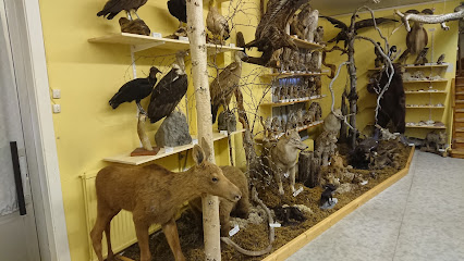 Natur de Ånge, Conservador Pär Gelin