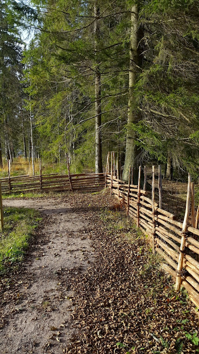 Museo de Emigrantes Andrew Peterson