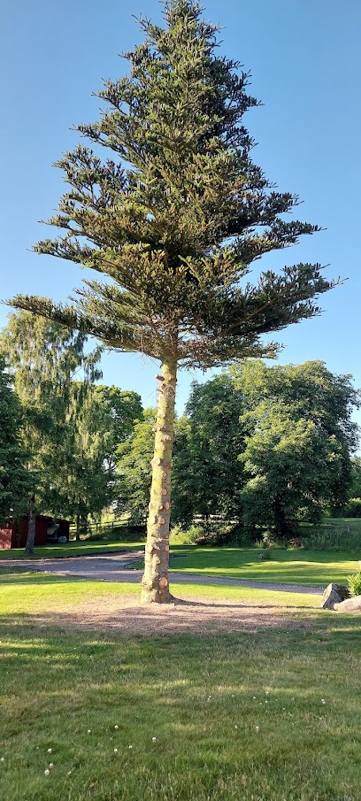 Stora Björstorp Skolbacken