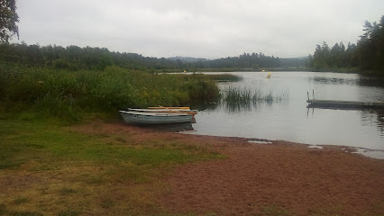 Forja de Österfors