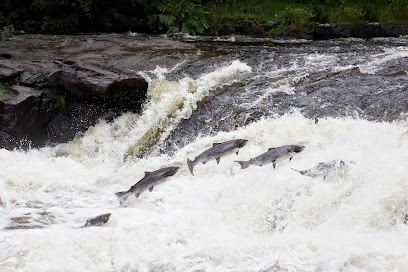 Museo de la Pesca del Salmón de Mörrum