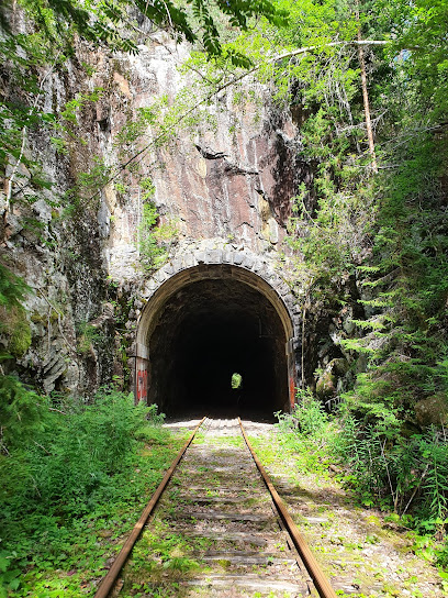 Asociación de Amigos del Ferrocarril Dellenbanan