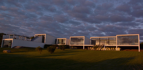 Museo Vida y Konsthall