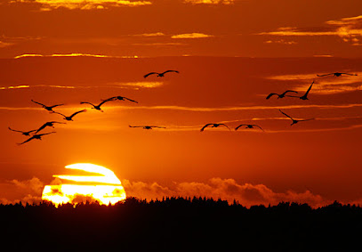 Centro de Visitantes Hornborgasjön