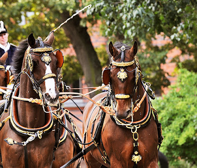 Establo Real de Su Majestad el Rey