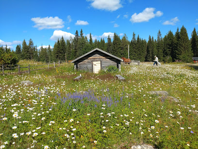 Hanhivittikko Fäbod