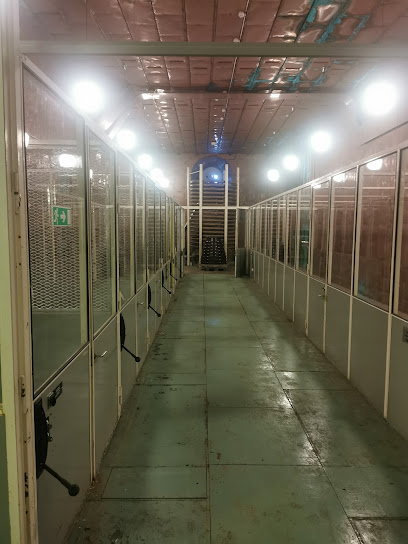 Estación de Radiocomunicación de Orlunda