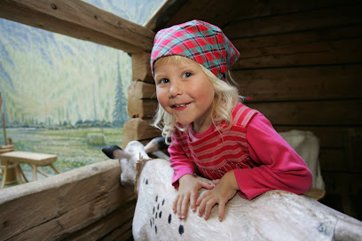Museo de Montaña de Härjedalen