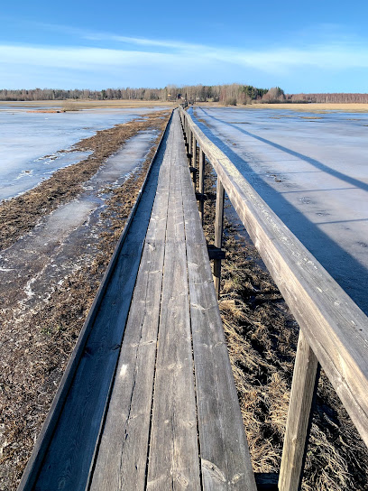 En medio de las pasarelas