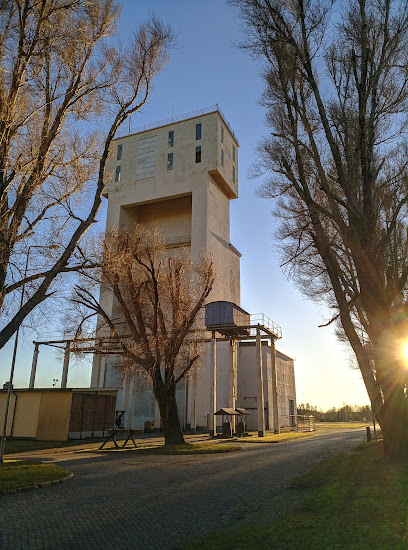 Centro de Mineral Mojsen