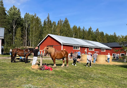 Museo de Agricultura Ljusfallshammar
