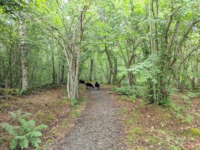 Qvarnstensgruvan en Lugnås