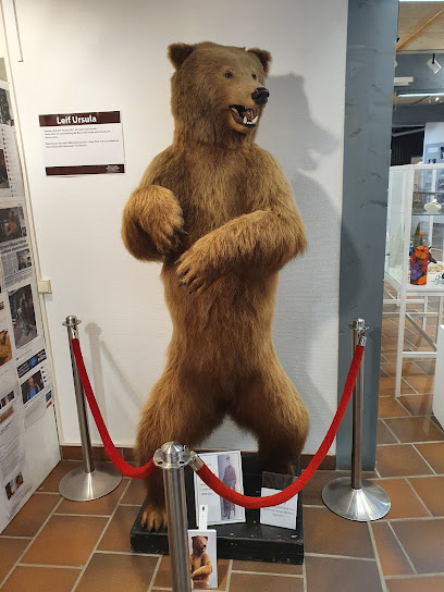 Museo de naturaleza de Rättvik