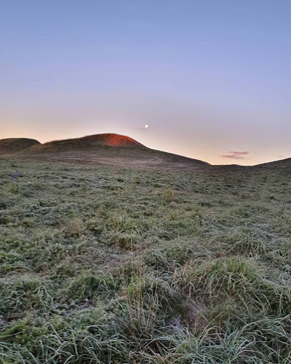 Museo de Old Uppsala