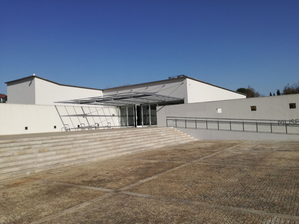 Museo de Arqueología D. Diogo de Sousa