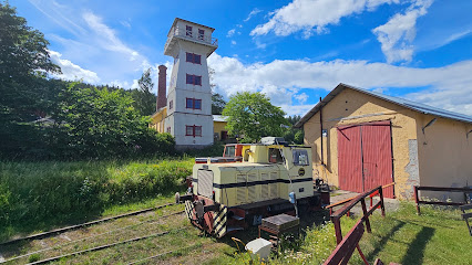 Industria de Svartvik