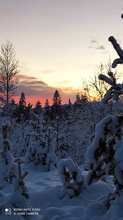 Museo Forestal de Ängersjö