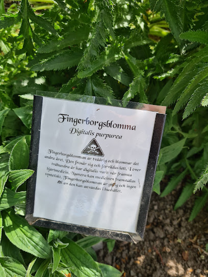 Jardín de Hierbas en Skänninge