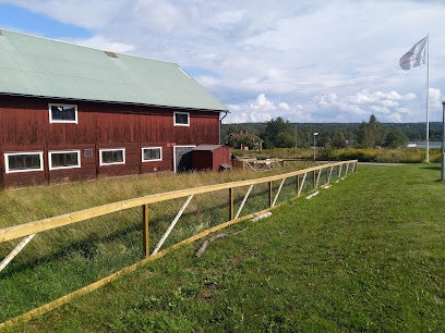 Museo de Carrozas de Tranås
