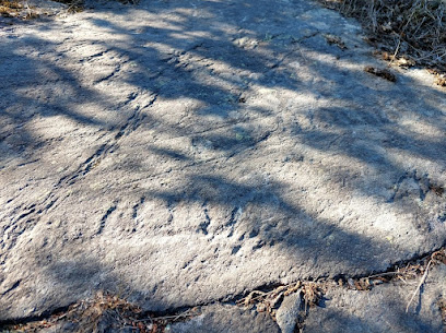 Grabados Rupestres de Vikans