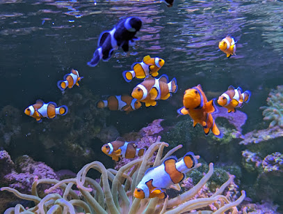 Casa de las Mariposas Haga Océano