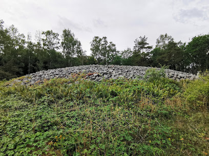 Blå Rör