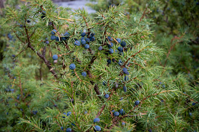 Museo Lusugn Flottarminne