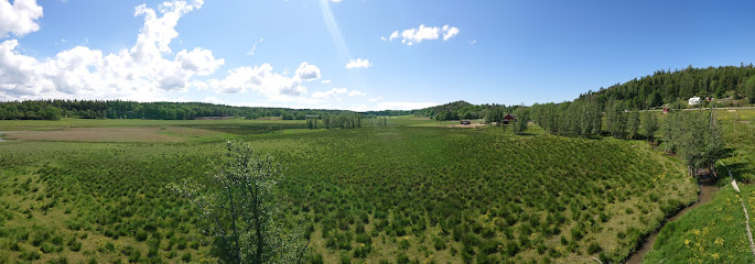 Torre de Aves, Runnsvatten