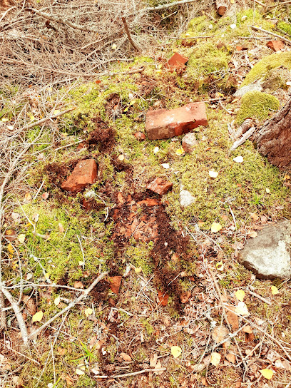 F.D Torpet Långdalskärr (Lugar Histórico)