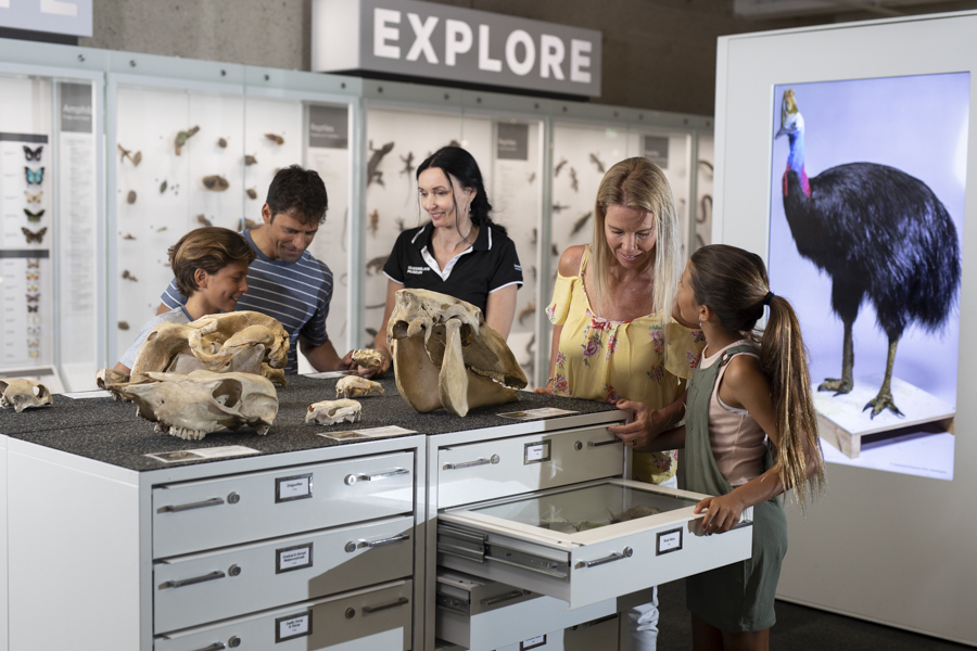Museo de Queensland