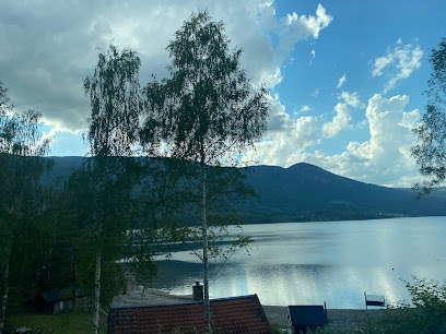 El Abarrotero de Olive