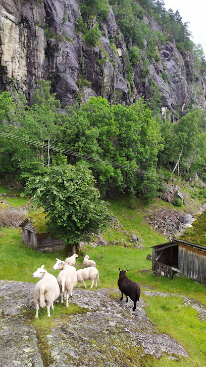 Husmannsplassen Røynevarden, Ryfylkemuseet